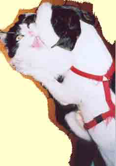Julius+Mona