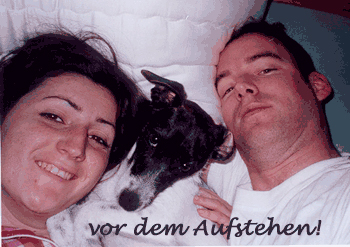 aulit