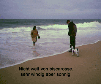 bisca