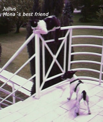 juliusmona