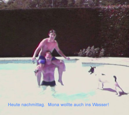 tiwillipiscine
