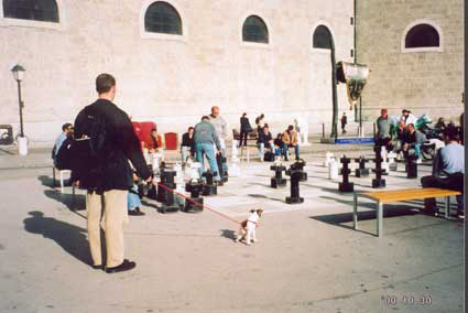 Les échecs