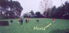 Dressage 1er cours